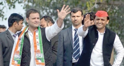 Success of regional successors may help RaGa take on NaMo in 2019